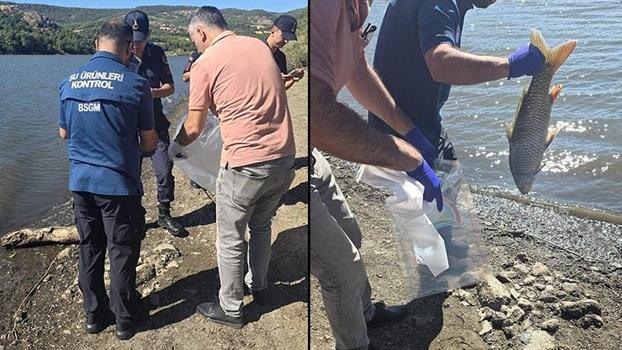 Çanakkale'de barajdaki balık ölümlerine inceleme
