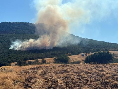 Eskişehir’de orman yangını