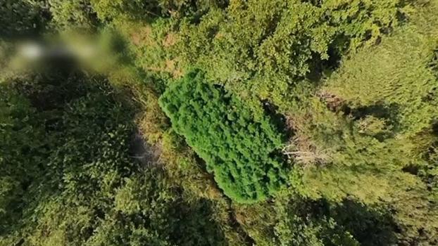 Sakarya’da kaçakçılık ve uyuşturucu operasyonu: 2 tutuklama