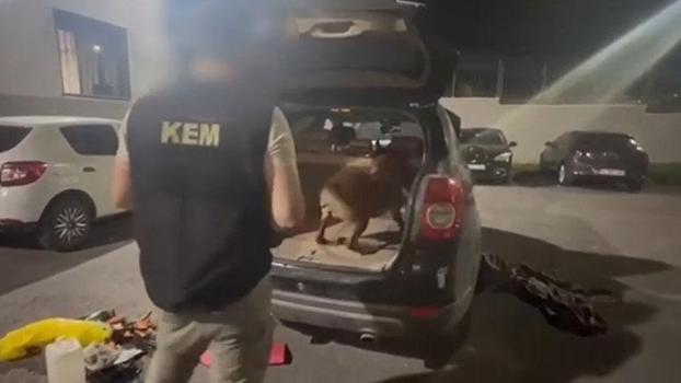 Kocaeli’de uyuÅŸturucu operasyonu: 6 ÅŸüpheli tutuklandı