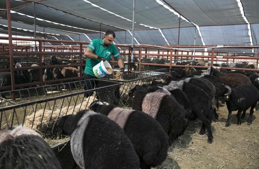 ‘Hadi Gel Köyümüze Destek Verelim Projesi' 7’nci yılında
