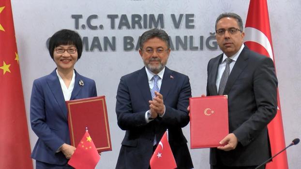 Türkiye ile Çin arasında defne ihracatı protokolü