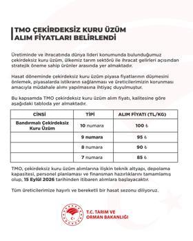TMO'nun çekirdeksiz kuru üzüm alım fiyatı belirlendi