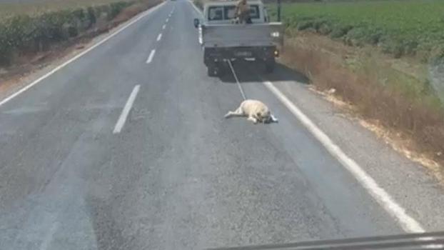 Köpeği kamyonetin arkasına bağlayıp sürükleyerek götürdü