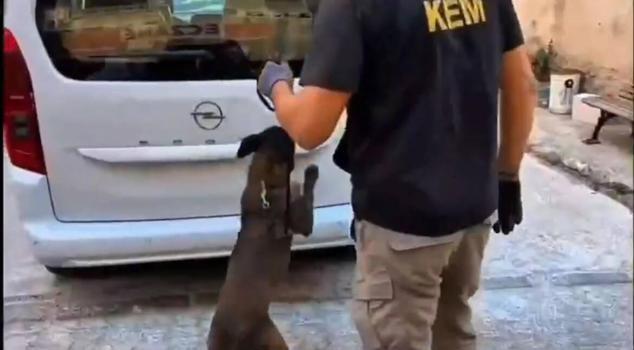 Balıkesir’de 109 bin adet sentetik ecza hapı ele geçirildi