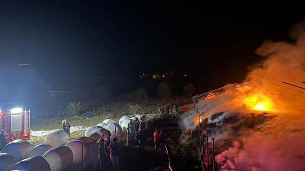 3 bin balya ot yandı, 10 ton buğday kurtarıldı