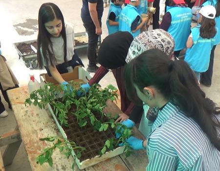 Çocuklar, COP31 farkındalık etkinliğinde hasat ettikleri ürünleri pazarda satışa sundu / Ek fotoğraflar