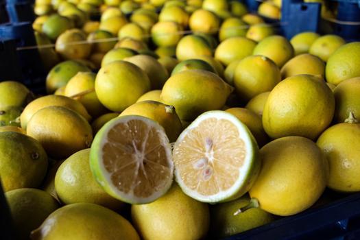 Dalında 5 TL olan limon, markette 20 katına satılıyor