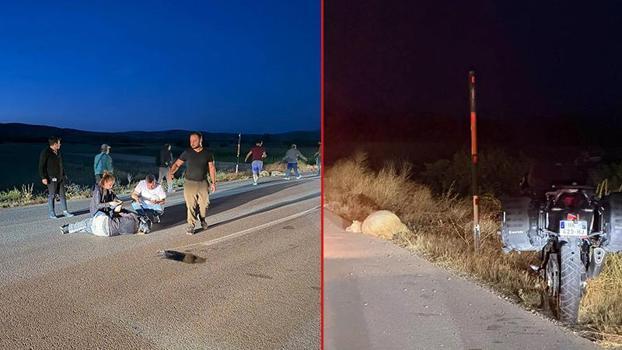 Avrupa turuna çıkan Fransız kadın, motosikletiyle koyunlara çarpıp yaralandı
