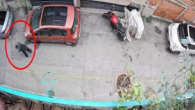 Bursa'da kucağındaki kediye şiddet uygulayan şüpheli yakalandı