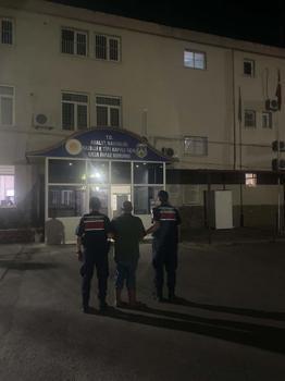 Ormanda kenevir yetiştirirken suçüstü yakalandı