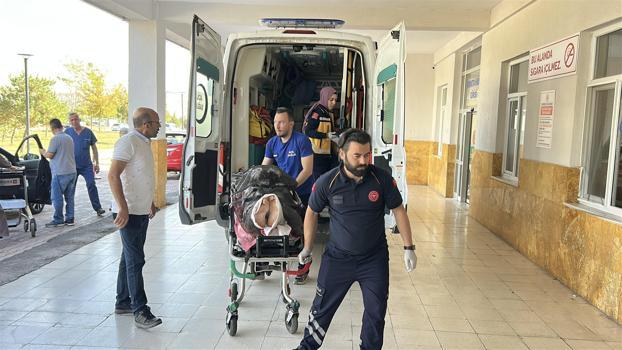 Ayı saldırısına uğrayan çoban yaralandı