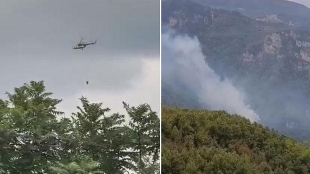 Hatay'da orman yangını