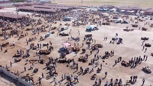 Ağrı Hayvan Borsası 30 gün süreyle kapatıldı