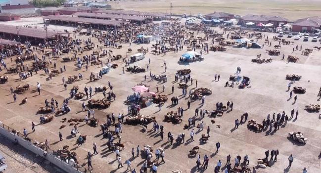 Ağrı Hayvan Borsası 30 gün süreyle kapatıldı