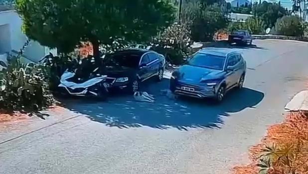 Otomobilin 2 köpeğin üzerinden geçmesine ilişkin soruşturma başlatıldı