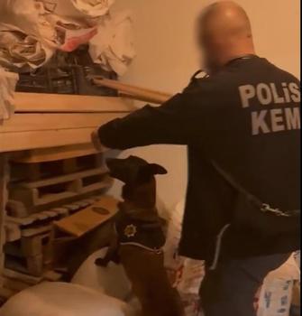 Bingöl’de uyuşturucu operasyonunda 1 tutuklama