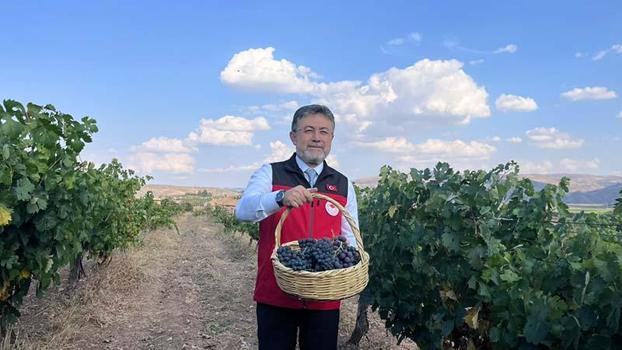 Bakan Yumaklı: Bu sene 3 milyon 850 bin tonluk bir üzüm üretimi gerçekleşecek