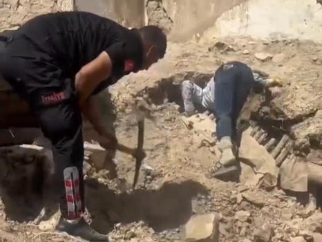 Nusaybin’de metruk ev çöktü; 5 yavru köpek ve anneleri kurtarıldı