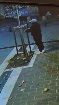 Fatih’te kuyumcunun önündeki ağacın kesildiği anlar kamerada