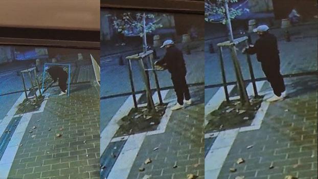 Fatih’te kuyumcunun önündeki ağacın kesildiği anlar kamerada