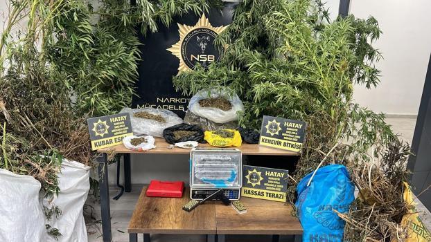 Hatay'da 122 kök Hint keneviri ve 14 kilo 752 gram kubar esrar ele geçirildi; 1 şüpheli tutuklandı