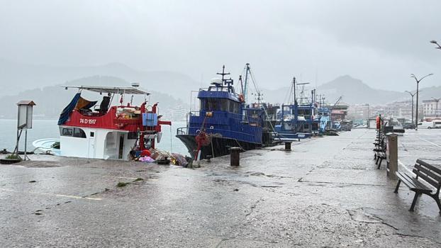 Bartın'da kuvvetli rüzgar; ağaçlar devrildi (2)