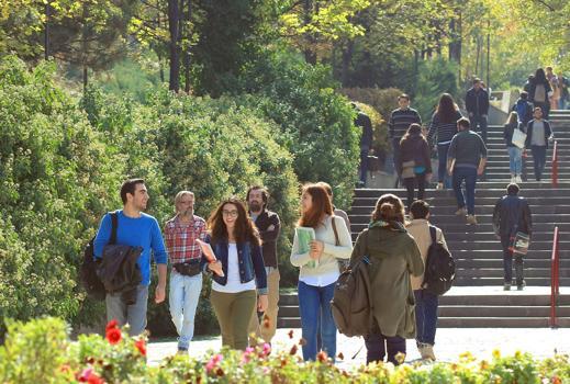 2026-YKS ile üniversitelere yerleşenler de öğrenci affından yararlanabilecek