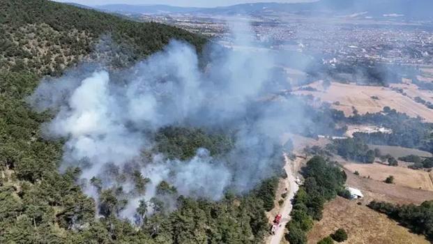 Bolu ve Düzce’de bu yıl orman yangınlarında 7 hektar zarar gördü