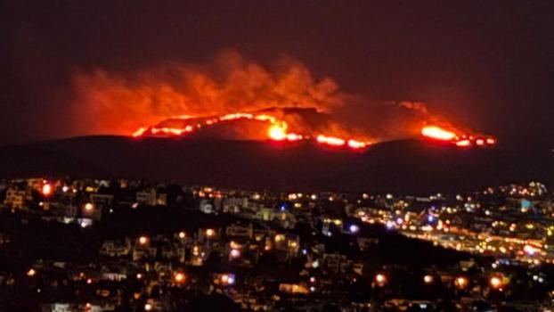Bodrum’da maki ve ot yangını