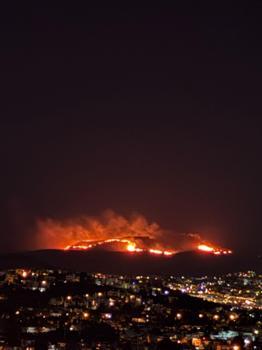 Bodrum’da maki ve ot yangını