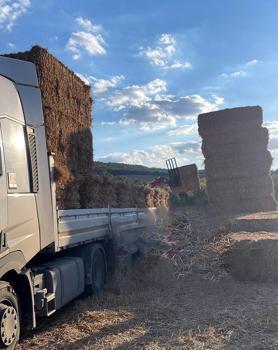 Üzerine saman balyası düştü, öldü