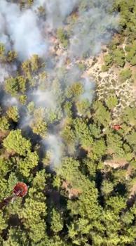 Antalya'da orman yangını (2)