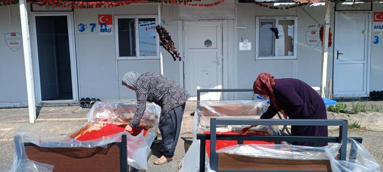 Depremzede kadınların 'salça' ve 'kurutmalık' telaşı