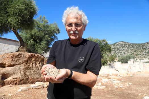 Parası olanın bile kullanamadığı renk; antik dünyada gücün ve statünün simgesi mor