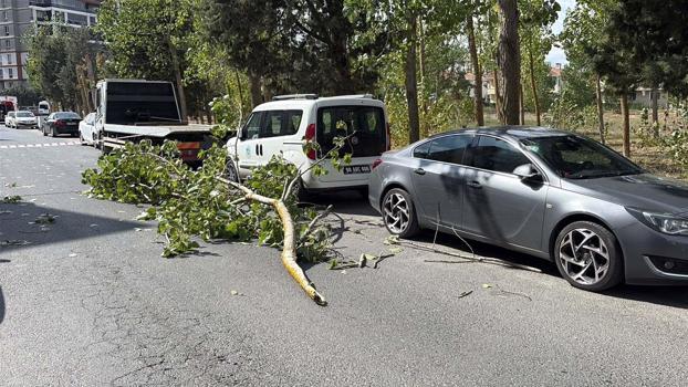 Şiddetli rüzgarda kırılan ağaç dalı, park halindeki iki aracın üstüne devrildi