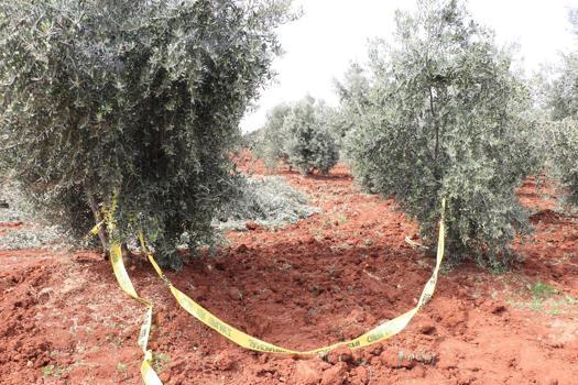 Traktörden düşen çiftçi öldü