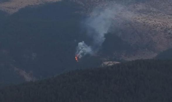 Bolu’da orman yangını
