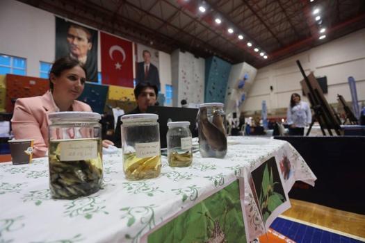 Samsun Canik'te gençler mavi vatan için projeler üretti