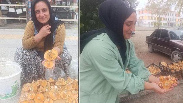 Dağlardan saatlerce yürüyerek toplanan mantarlar, pazarda kilosu 250 TL’ye satılıyor