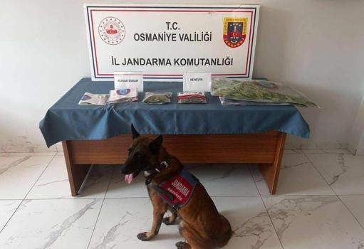 Osmaniye’de jandarma son bir haftada 142 şüpheliyi yakaladı