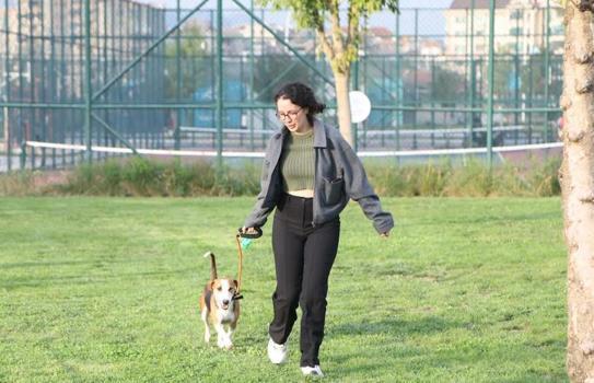 Nilüfer’de barınaktaki sahipsiz köpekler için farkındalık etkinliği