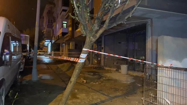 Küçükçekmece'de elektrik akımına kapılan köpek öldü, sahibi yaralandı