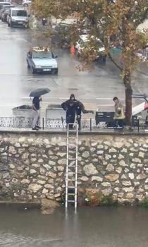 Yağmurda dereye sürüklenen yavru kediyi kurtarmak için zamanla yarıştılar