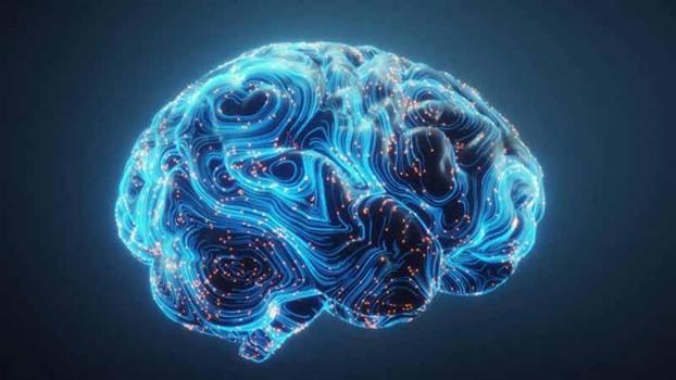 Araştırma: Beyin çoklu görev yapmaya kendini yeniden programlayabilir