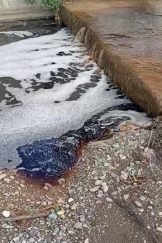 Yalova açıklarında deniz yüzeyi kırmızıya boyandı