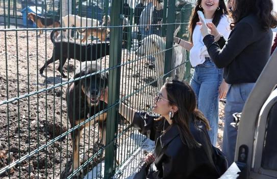 Nilüfer’de sahipsiz hayvanlar için ‘Umut Ağacı’ açıldı
