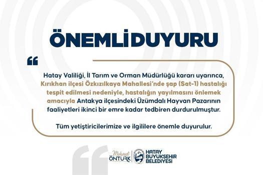 Hatay’da Üzümdalı Hayvan Pazarı, şap hastalığı nedeniyle geçici olarak kapatıldı