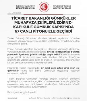 Edirne-Kapıkule Gümrük Kapısı'nda 67 canlı piton ele geçirildi