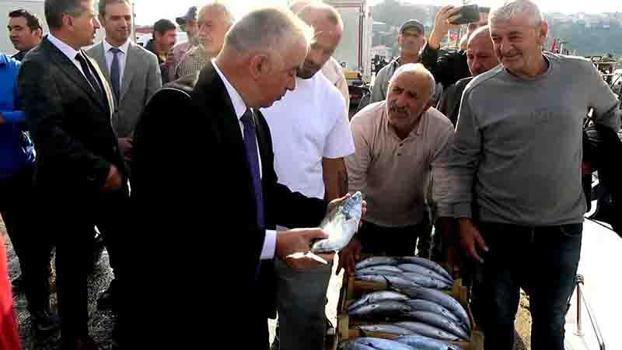 Şile’de palamut bolluğu; kasası 600 liradan satıldı